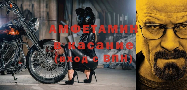шишки Осинники