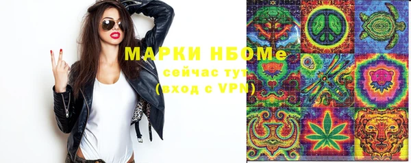 шишки Осинники