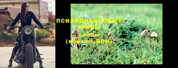 PSILOCYBIN Абаза