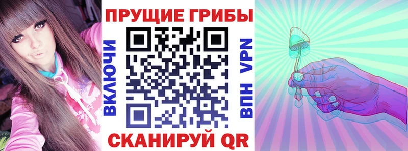 Галлюциногенные грибы Cubensis  Суздаль 